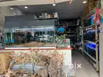 Staf required for aquarium shop