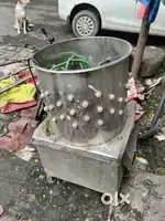 Bird washing