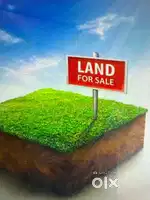 31 cent plot , road side at reasonable price.
