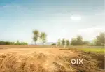25cents residencial land sale at edappally ponekkara