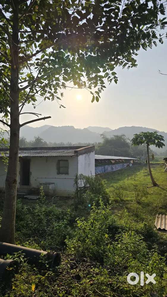 Want to sell 2 poultary farm