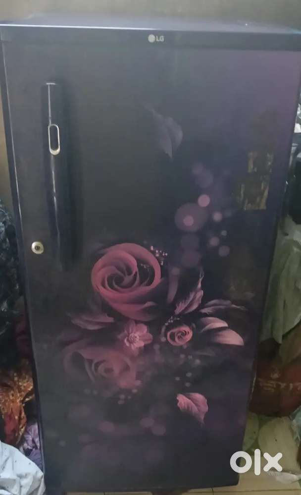 Lg fridge fridge