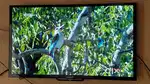 Sony bravia 32inch