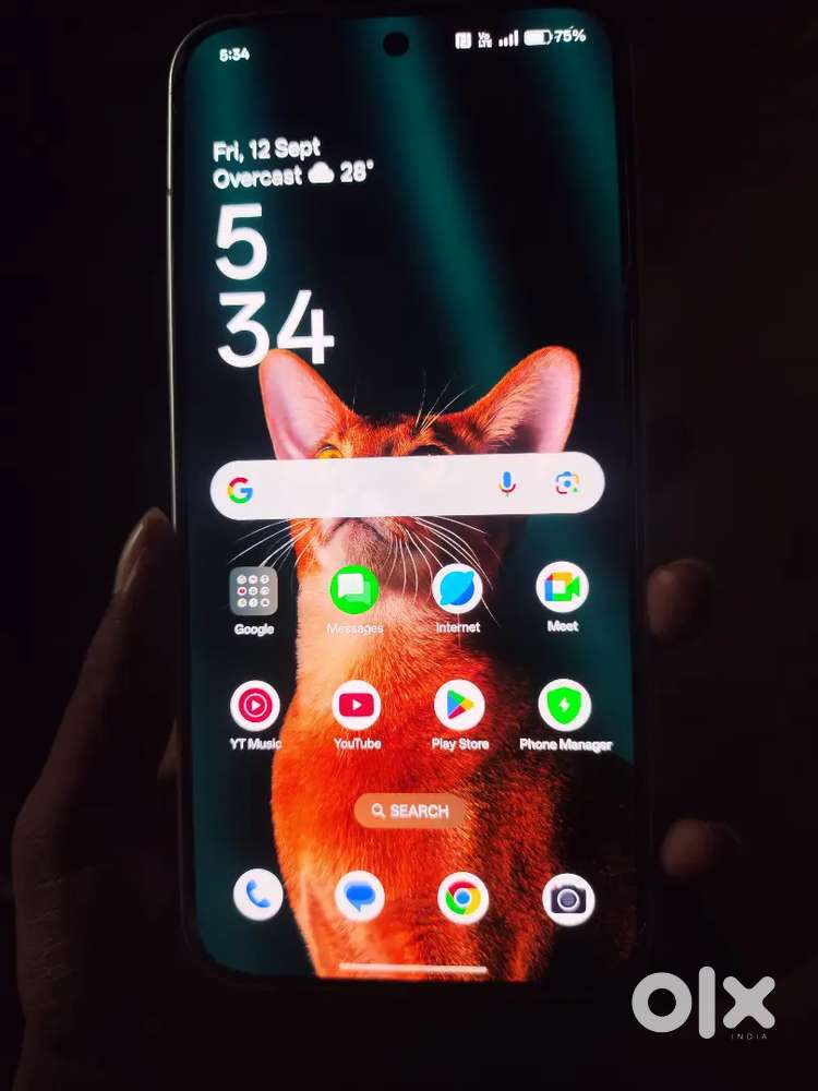 Oppo reno 13 8gm ram.256gm rom band new condition