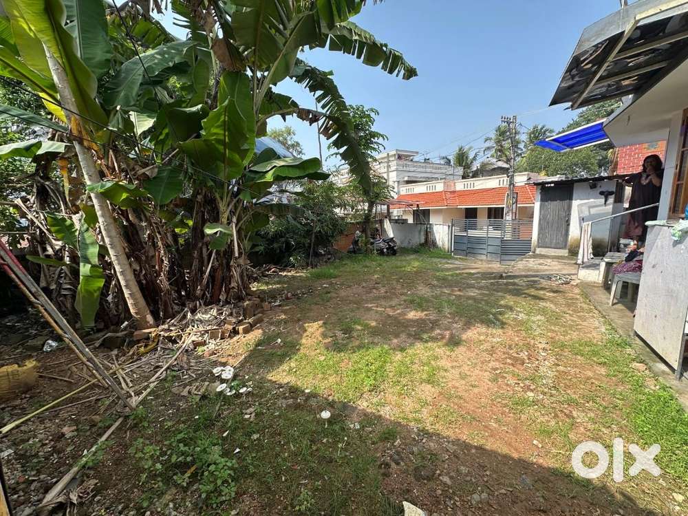 3 cent rectangle plot for sale between Manacaud and Attukal