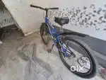 Fatty cycle