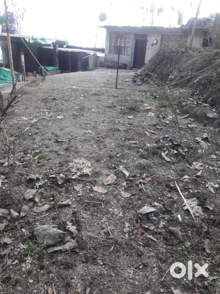 800sqr(7dcm)