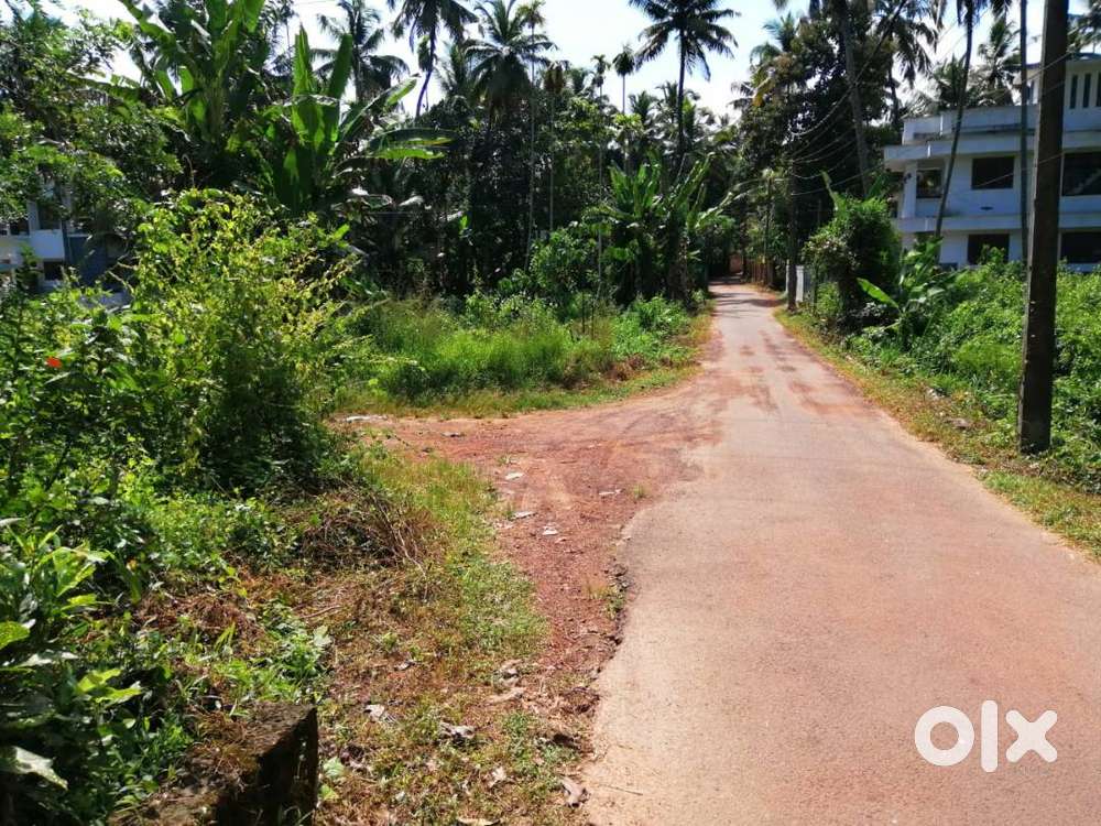 48 Cent Residential Land for Sale at Mokavoor, Calicut (MH)