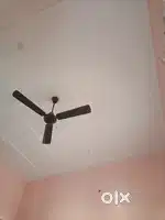 Single Room for rent