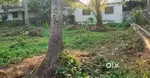 40 cent plot for sale, Alapad Thrissur ,