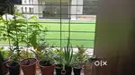 1 BHK FLAT FOR SALE