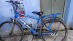 Cycle for sale