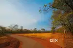 Plots for sale in Valpoi Sattari