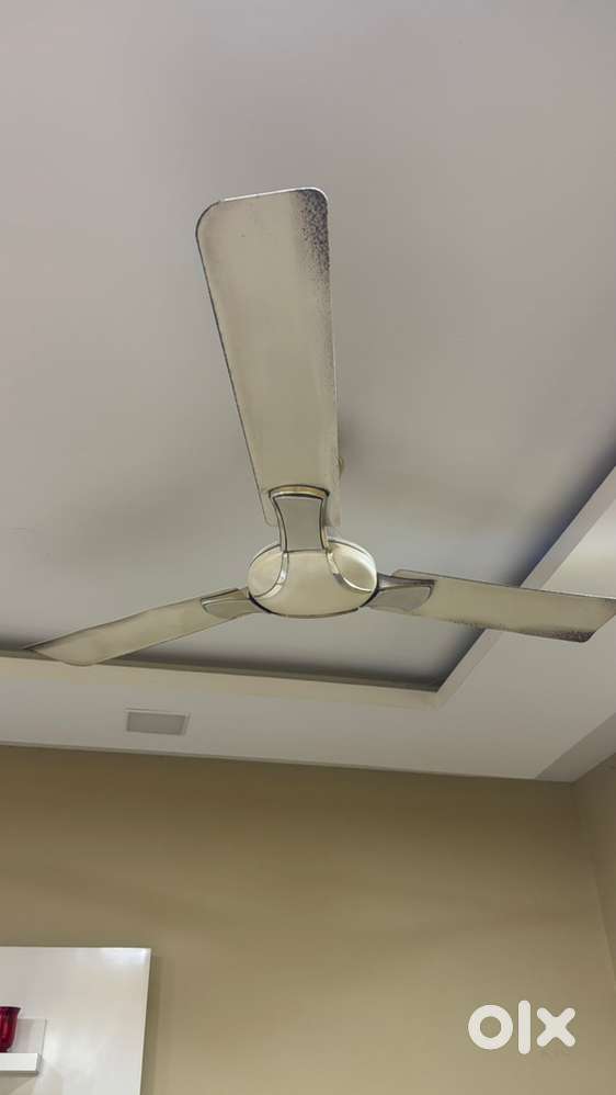 Ceiling Fan for Sell