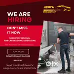 Car Washing & Detailing Expert