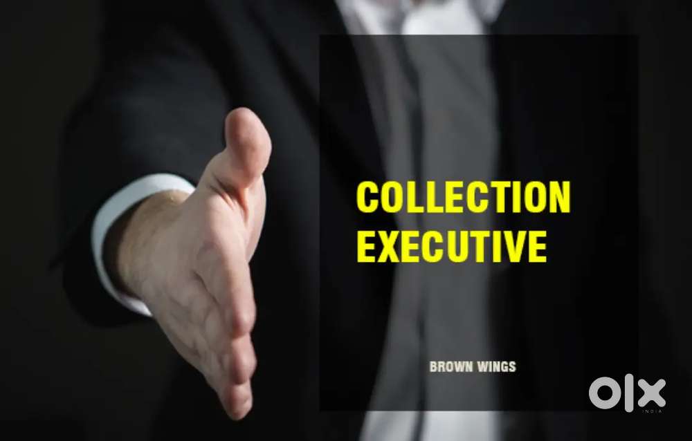 Collection Executive