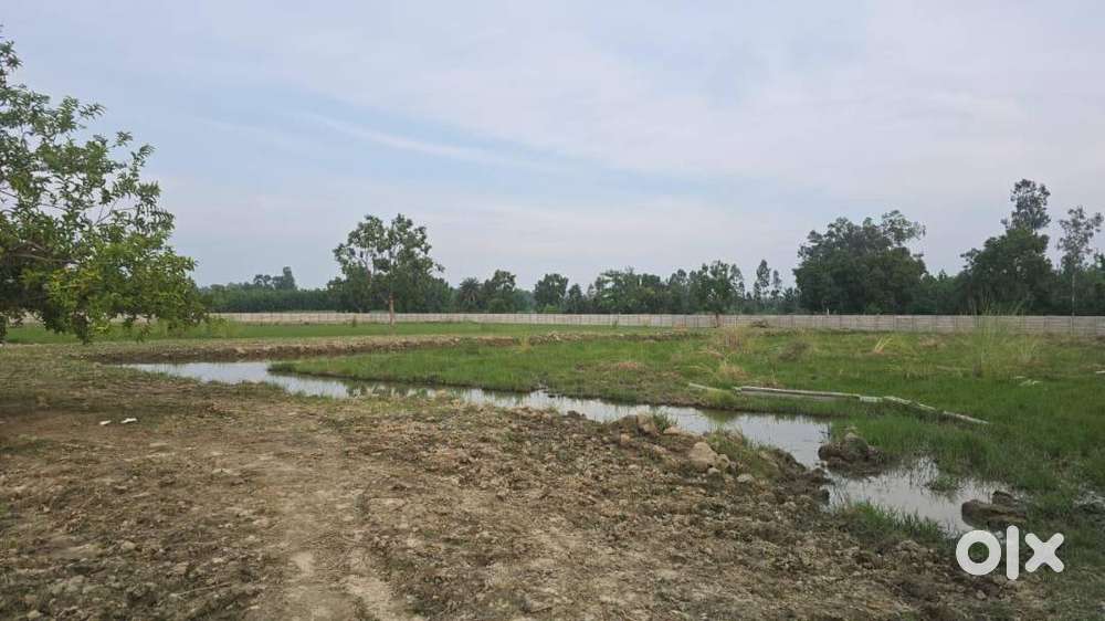 40000sq yard Agriculture Land in Hasthnapur atteched to jambudeep