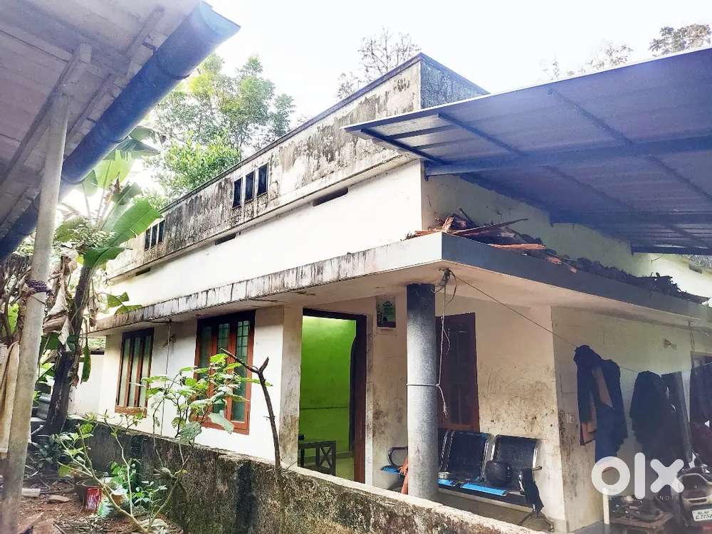 എറണാകുളം ജില്ലയിൽ പെരുമ്പാവൂർ - പോഞാശേരിയിൽ 3 സെൻ്റിൽ വീട് വിൽപനക്ക്