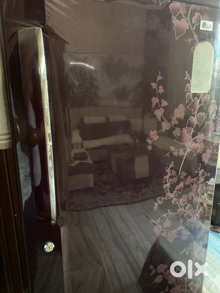 Lg fridge with best features