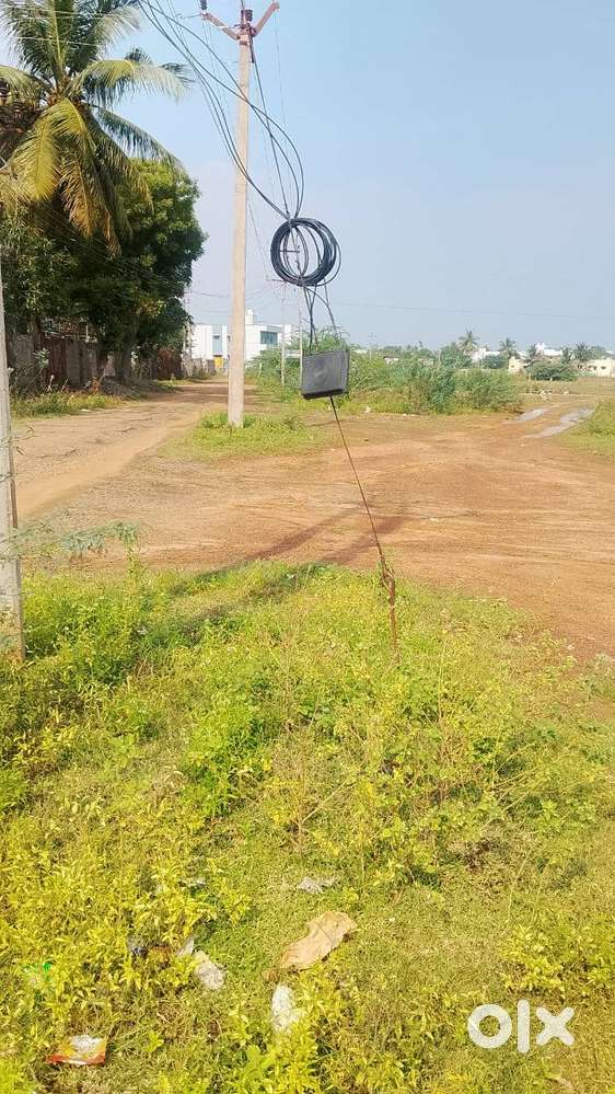 1.08C for 8.31 Cent @ Illupakkudi