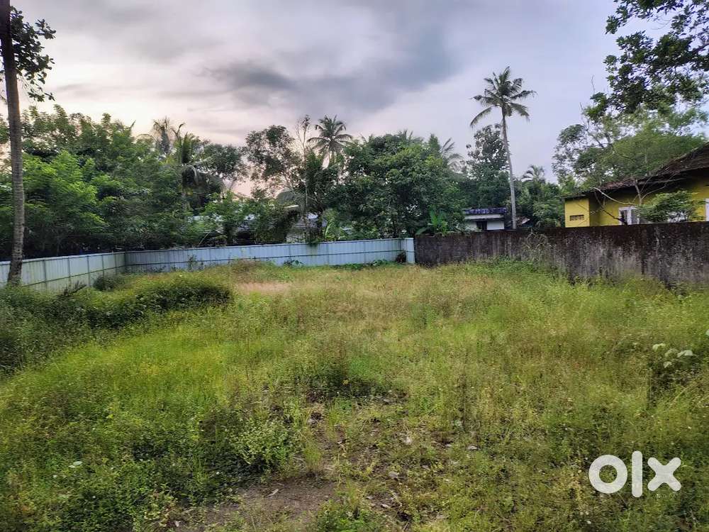 6  cent house plot near Muttathiparambu junction Cherthala