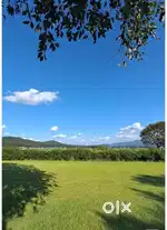 120 Bigha R3 Land Chakrata Highway Dehradun