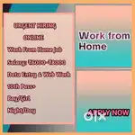 Work From Home Online Job Data Entry D13