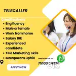 Hiring  Telecaller  work at home