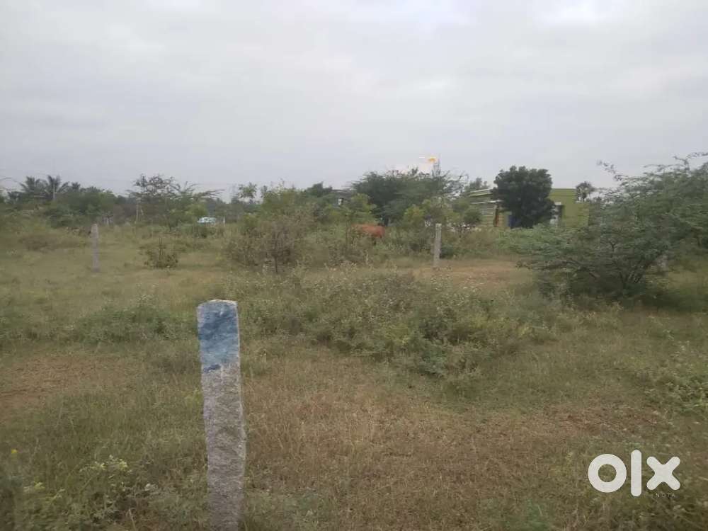 Pks nagar, vidhya mandri school opp site