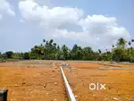 Aluva alangad not flood affected area house plot for sale