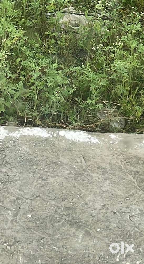 40*58 IT park Sahastradhara Road