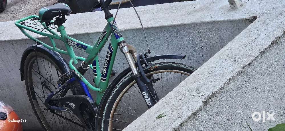 Gang bicycle for sale