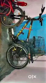 Fronx cycle