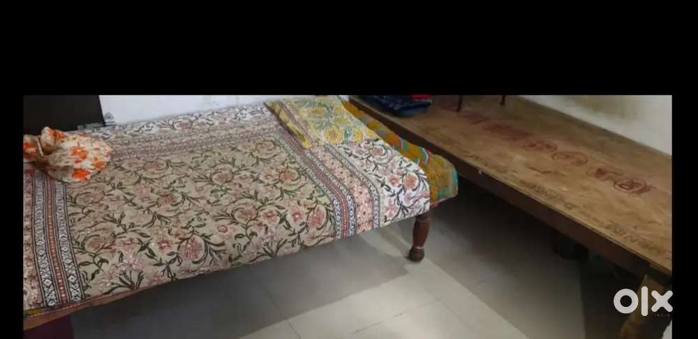 Need a girl roommate