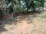 കോട്ടക്കൽ തിരൂർ റോഡിൽ മമ്മാലിപടിക്കു സമീപം 5, 7, 10 സെന്റ് വീതം