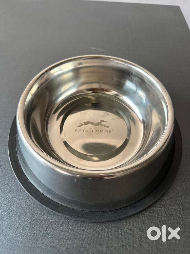 Dog Large Bowl
