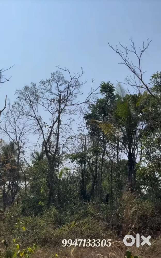 Residential plot for sale