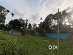 ‘‘২ গণ্ডা জমি বিক্রি হবে— আর্জেন্ট সেল।’’