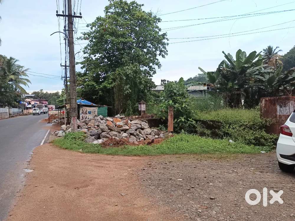 16 Cents Road Frontage Plot for Sale, Pathanamthitta-Kozhenchery Road