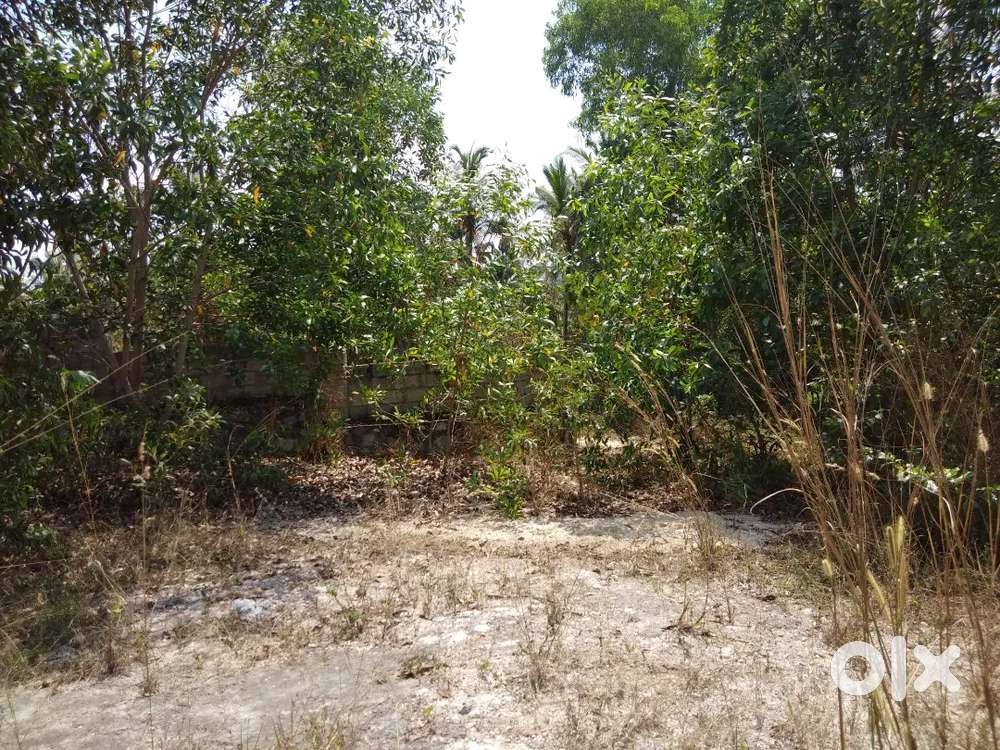 6.75 cents land for rent or lease