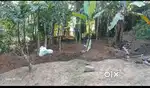 Urgent Sale  10 Cent plot Sale Chullimanoor