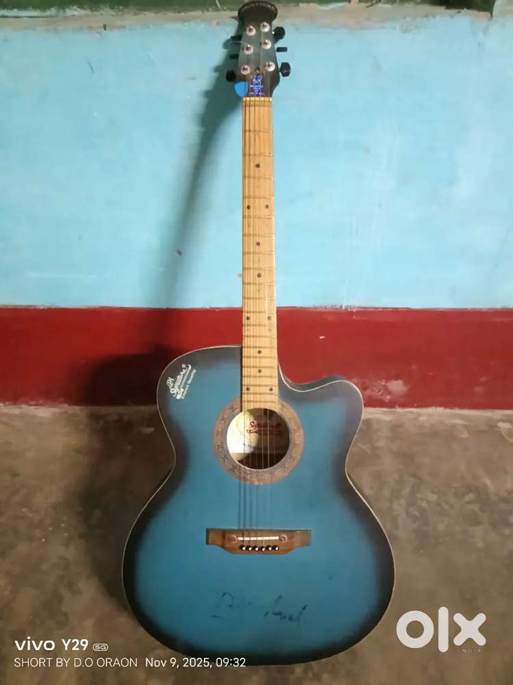 Acoustics guitar