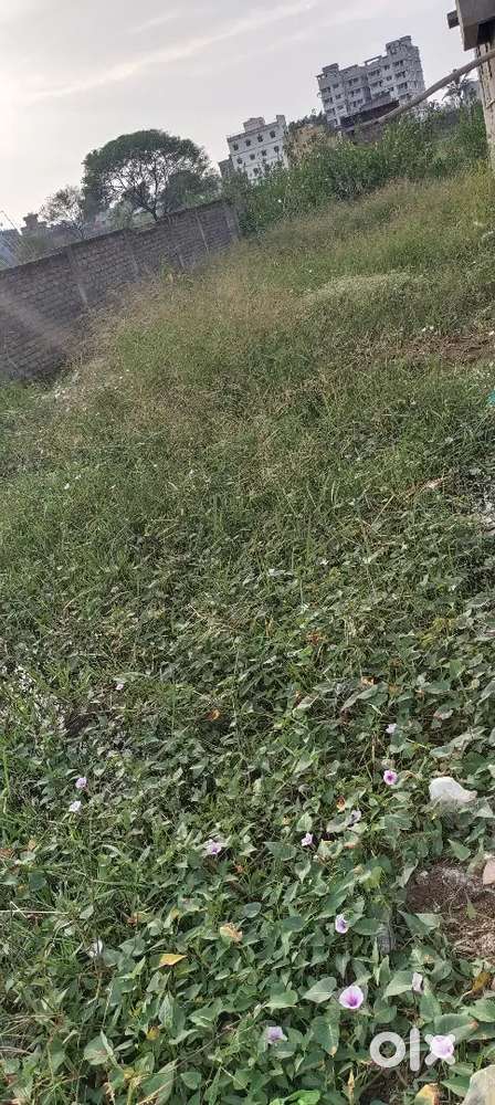 Word no 12 chandmari ckp