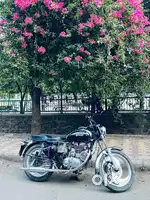 Electra black colour