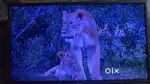 TV LG for sell