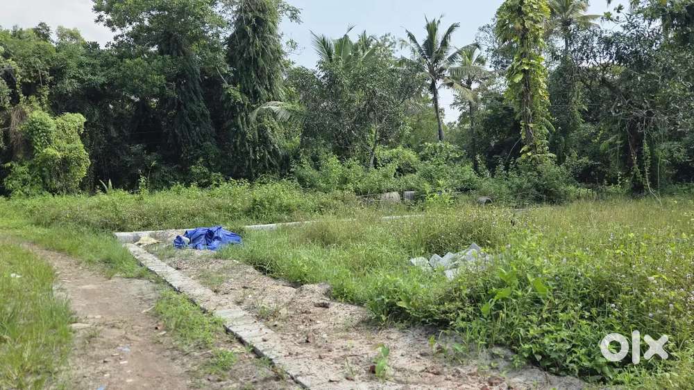 5 cent plot വയലാർ കവല കിഴക്കുവശം Nh 1 km