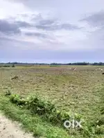 1 bigha land for sale urgent
