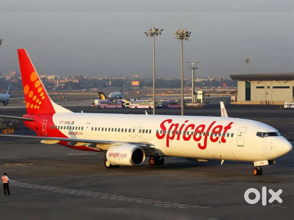 Cabin Crew/ Airport Ground Staff Jobs in Indigo Airlines