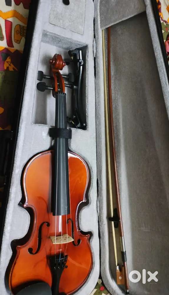 Violin (Parrot)