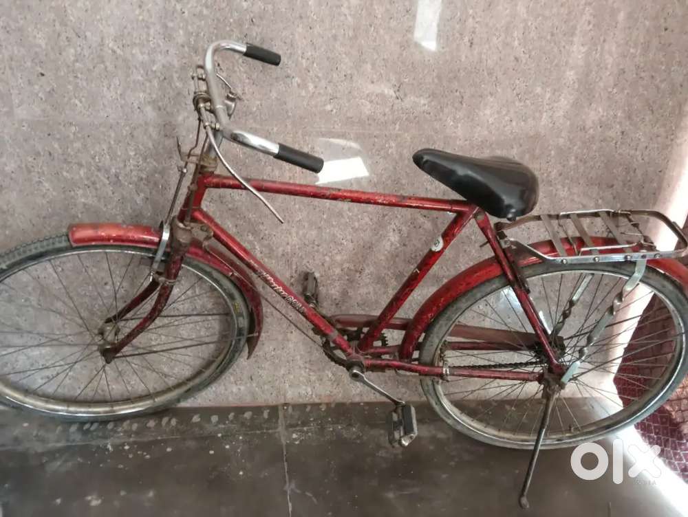 Red Cycle For Adults ( 5 years old)